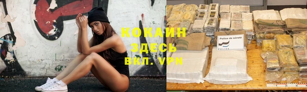 ешки Алексин