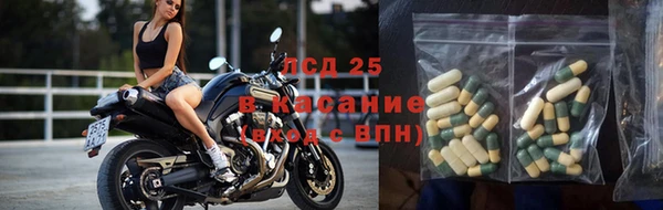 ешки Алексин
