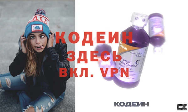хмурый Алзамай