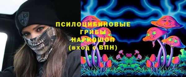 хмурый Алзамай