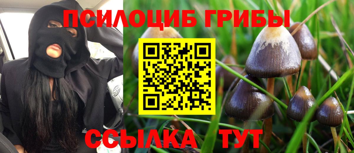 Новошахтинск  Псилоцибиновые грибы GOLDEN TEACHER  Вход с VPN 
